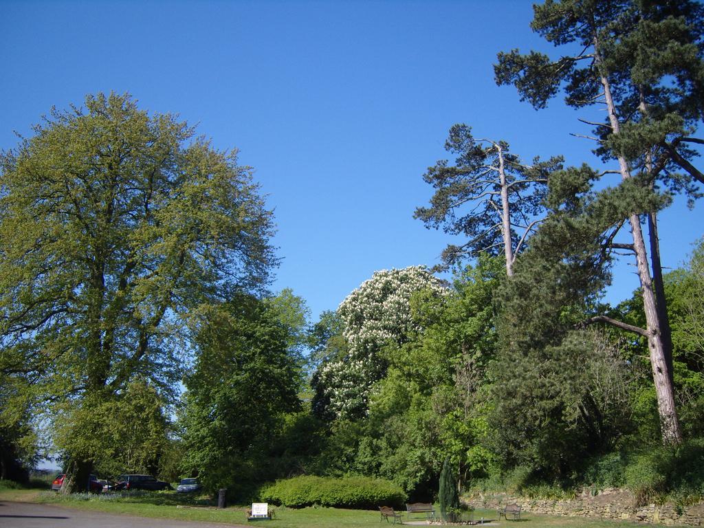 Cleeve House Bed & Breakfast Melksham Cameră foto